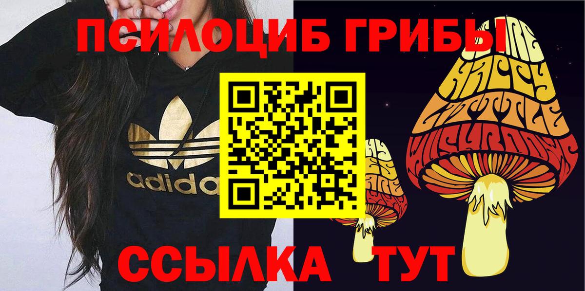 Галлюциногенные грибы Psilocybe Евпатория