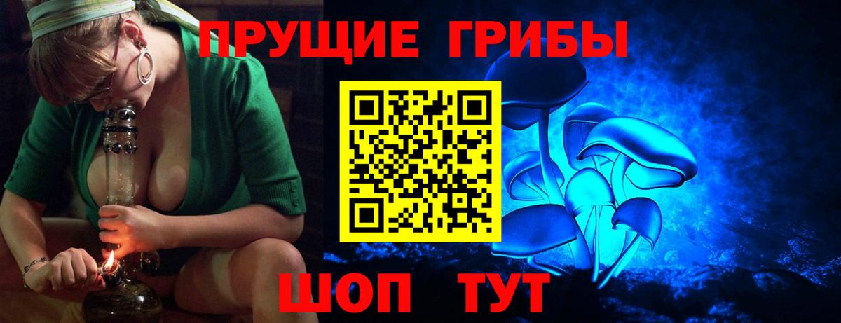 Евпатория  где найти   Вход с VPN  Псилоцибиновые грибы мухоморы  Псилоцибиновые грибы Cubensis 